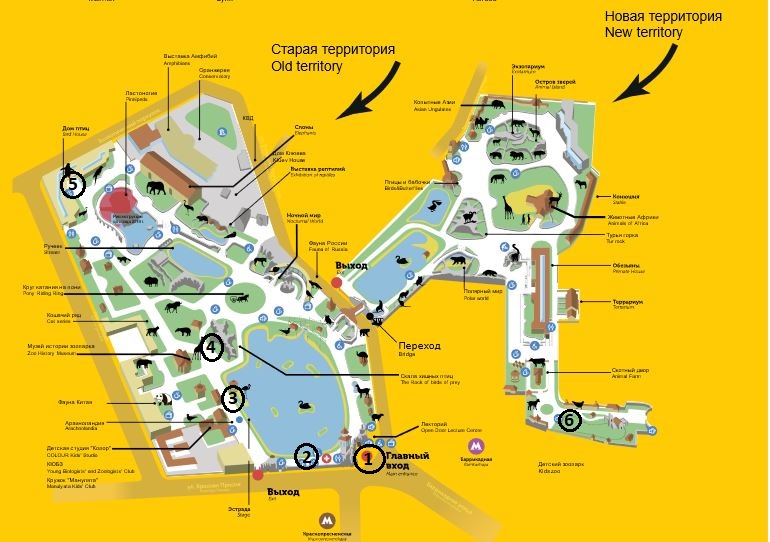 Карта зоопарка. Схема Московского зоопарка 2022. Карта зоопарка Москва. Карта Московского зоопарка 2022. Режим работы зоопарка в Москве.